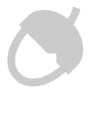 4.webp