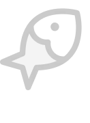 5.webp